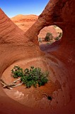 USA skull arch (mistery valley).jpg